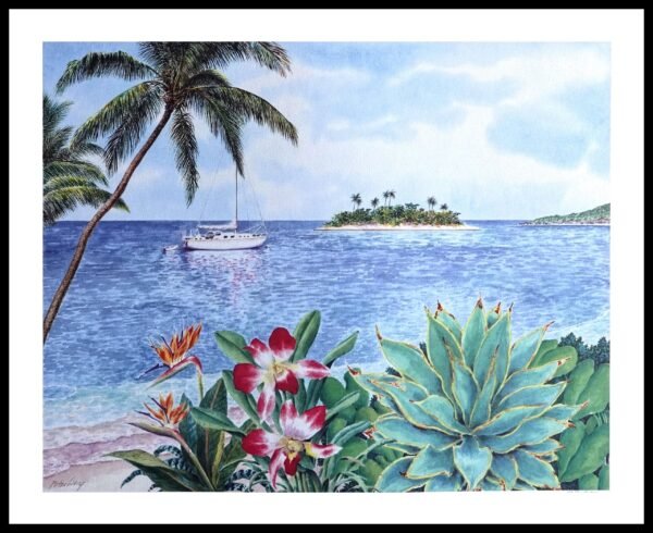 AIM 485 Dreamscape Point (S/N LIMITED EDITION)